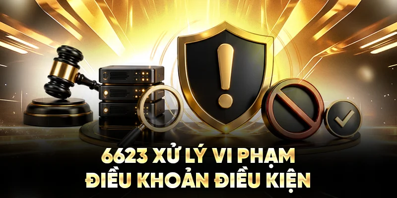 6623 xử lý vi phạm điều khoản điều kiện