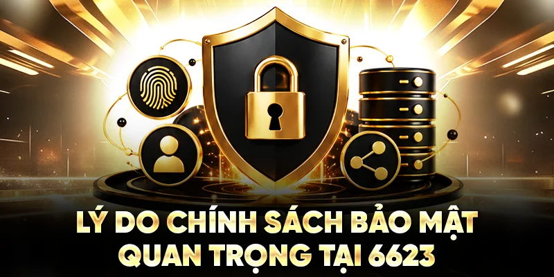 Lý do chính sách bảo mật quan trọng tại 6623